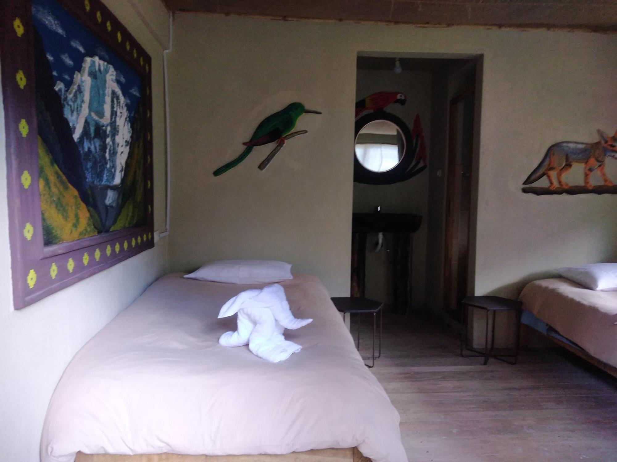 Salkantay Hostel Chaullay サンタ・テレサ エクステリア 写真